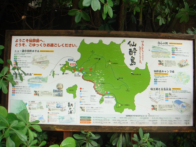 113.jpg